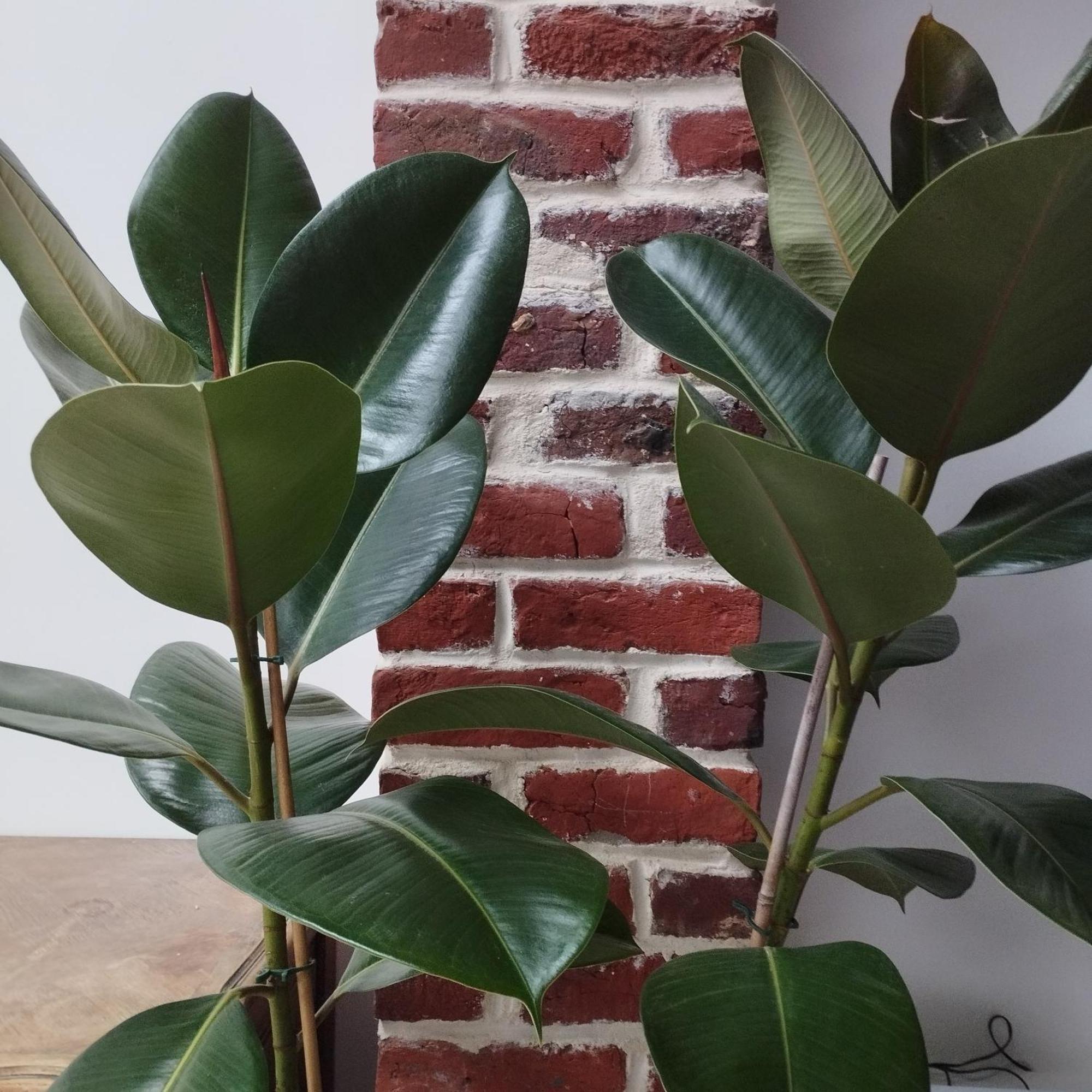 Charmante Maison Proche De Toutes Commodites Croix 外观 照片